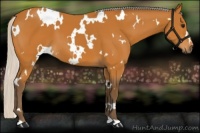 Horse Color:White Spotted Silver Bay 