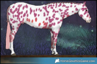 Horse Color:Watercolor Chestnut Tobiano Appaloosa