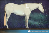 Horse Color:Watercolor White Spotted Red Dun 