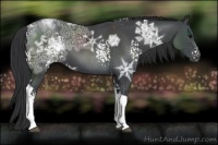 Horse Color:White Spotted Black Ice Tobiano 