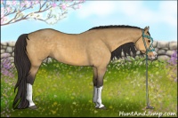 Horse Color:Buckskin Dun Splash and Buckskin Dun Splash