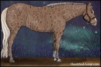 Horse Color:Silver Bay Ice Sabino 