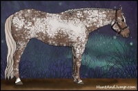 Horse Color:Silver Black Ice Sabino 