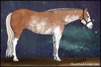 Horse Color:Silver Bay Sabino Splash