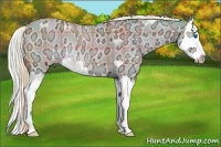 Horse Color:Watercolor Plaid Silver Buckskin Ice Dun Sabino Splash