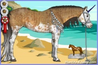 Horse Color:Buckskin Splash  and Buckskin Splash 