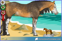 Horse Color:Buckskin Splash and Buckskin Splash
