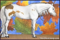 Horse Color:Silver Buckskin Splash and Silver Buckskin Splash