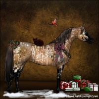 Horse Color:Void White Spotted Buckskin Pearl Dun Splash and Void Buckskin Splash
