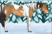 Horse Color:Buckskin Tobiano  and Buckskin Tobiano 