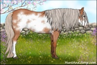 Horse Color:Silver Brown Roan Frame 