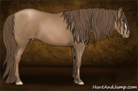 Horse Color:Black Pearl
