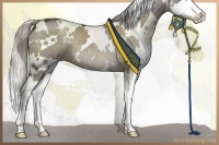 Horse Color:Platinum White Spotted Liver Red Dun Splash 