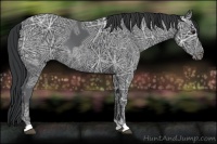 Horse Color:Black Ice