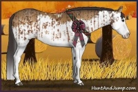 Horse Color:Buckskin Sabino Splash  and Buckskin Splash 