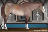 Horse Color:Platinum Chocolate Bay Splash