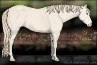 Horse Color:Perlino Sabino Rabicano 
