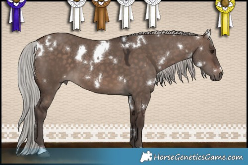 Horse Color:White Spotted Silver Brown Dun Mushroom 