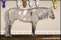 Horse Color:White Spotted Silver Brown Dun