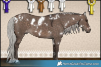 Horse Color:White Spotted Silver Brown Dun Mushroom 