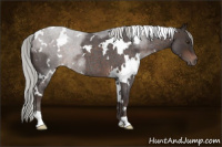 Horse Color:White Spotted Silver Brown Roan Mushroom 