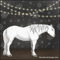 Horse Color:White Spotted Silver Brown Roan Dun Splash Frame Appaloosa Rabicano  and White Spotted Silver Brown Roan Splash Appaloosa Rabicano 