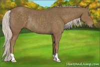 Horse Color:Silver Smoky Black Rabicano 