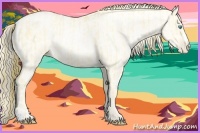 Horse Color:Buckskin Roan Pearl  and Amber Cream Champagne Roan Pearl 