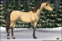 Horse Color:Bay Roan Pearl and Buckskin Roan