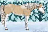 Horse Color:Palomino Roan Splash 
