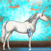 Horse Color:Buckskin Roan Pearl  and Silver Buckskin Roan Pearl 