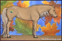 Horse Color:Palomino 