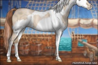 Horse Color:Buckskin Roan Pearl  and White Spotted Buckskin Pearl Tobiano 