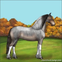 Horse Color:Liver Red Roan Tobiano