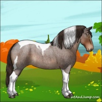 Horse Color:Liver Red Roan Tobiano 