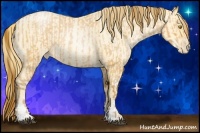 Horse Color:Bay Roan Pearl and Buckskin Roan Pearl