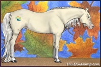 Horse Color:White Spotted Gold Cream Champagne 