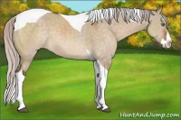 Horse Color:Silver Brown Dun Sabino Splash Tobiano 