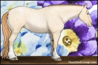 Horse Color:Buckskin Roan Pearl and Buckskin Roan Pearl