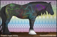 Horse Color:Black  and Black 