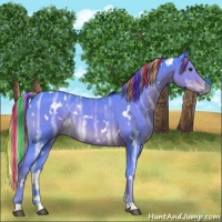 Horse Color:Painted Watercolor White Spotted Liver Chestnut Ice Rabicano 