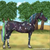 Horse Color:Painted Watercolor White Spotted Midnight Buckskin Ice Rabicano 