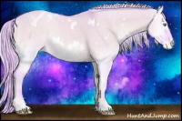 Horse Color:Watercolor White Spotted Cremello Onyx Appaloosa Rabicano 