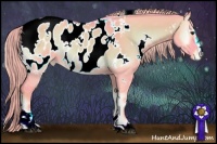 Horse Color:Watercolor White Spotted Liver Red Dun Onyx Sabino Appaloosa 