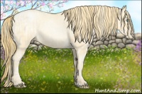 Horse Color:Buckskin Roan Pearl and Buckskin Roan Pearl