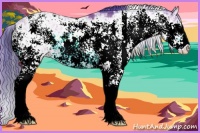 Horse Color:Watercolor Buckskin Sabino 