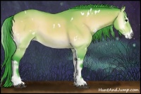 Horse Color:Watercolor White Spotted Buckskin Onyx Sabino 