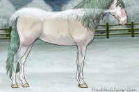 Horse Color:Watercolor Perlino Onyx 
