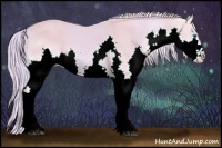 Horse Color:Watercolor Palomino Splash