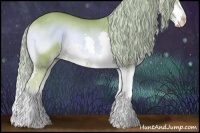 Horse Color:Watercolor Red Onyx Splash Rabicano 